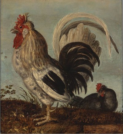 A Rooster by Roelandt Jacobsz. Savery